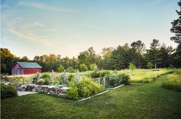 Uprooted | Growth from Starting Over with Page Dickey