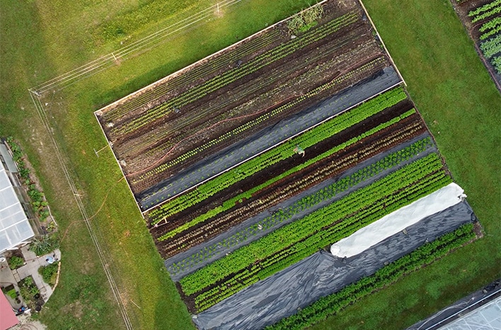 Lean Micro Farming | Maximize Efficiency