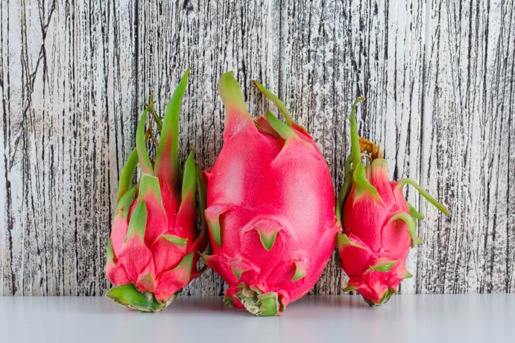 grow dragon fruit plant