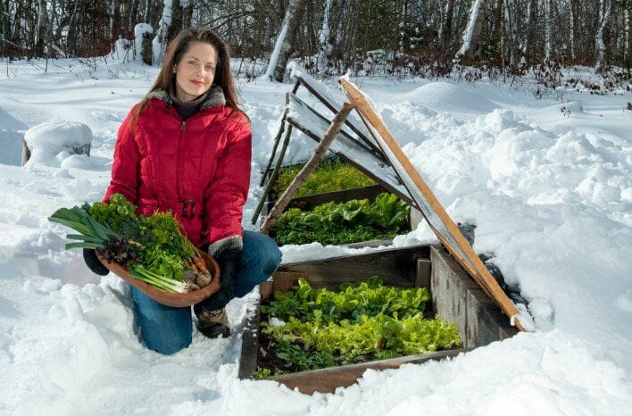 The Year-Round Vegetable Gardener | Niki Jabbour