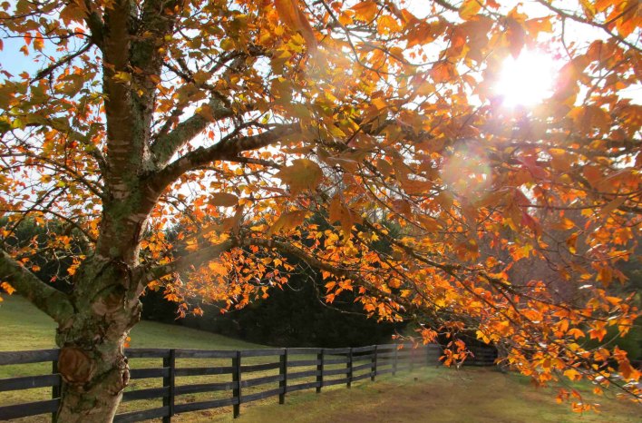 How Plants Work | The Science Behind Plants