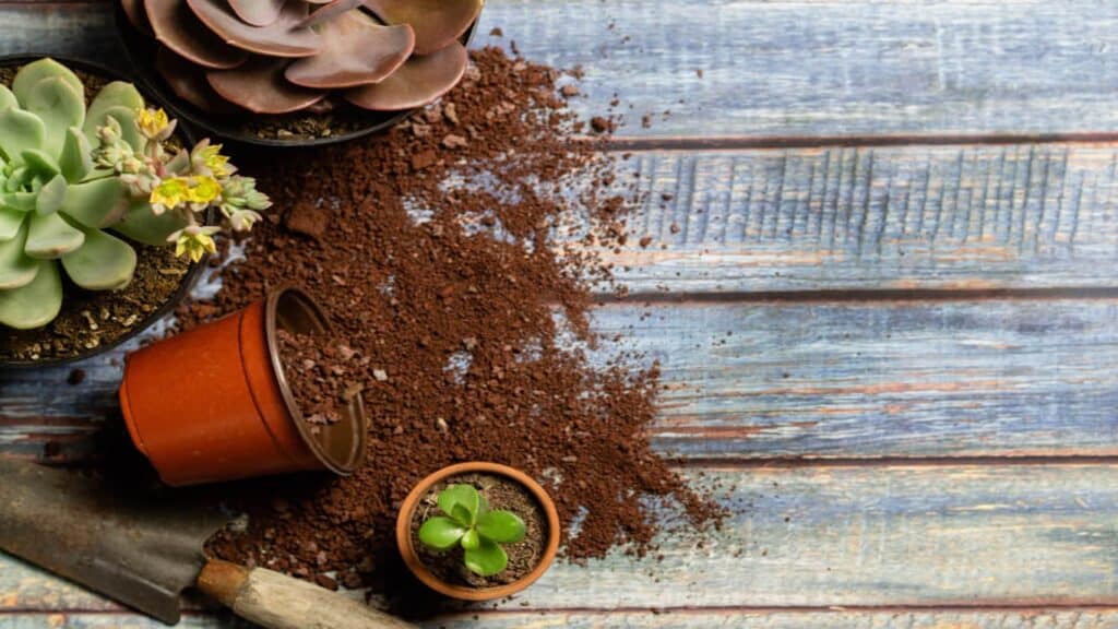 Fabriquez votre propre compost pour vos plantes !