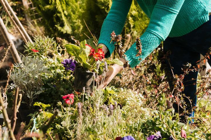 Atteindre des objectifs pour un jardin durable