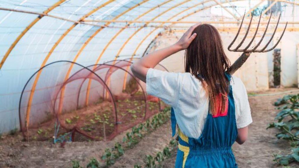 Comment démarrer une pépinière de plantes – Conseils et idées