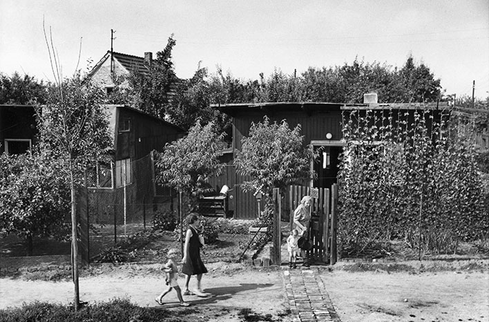 Berlin arbor colonies